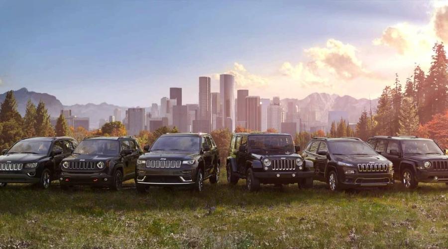 Variety of jeep models lined up