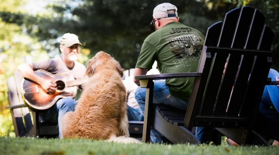 A golden retriever and his pets