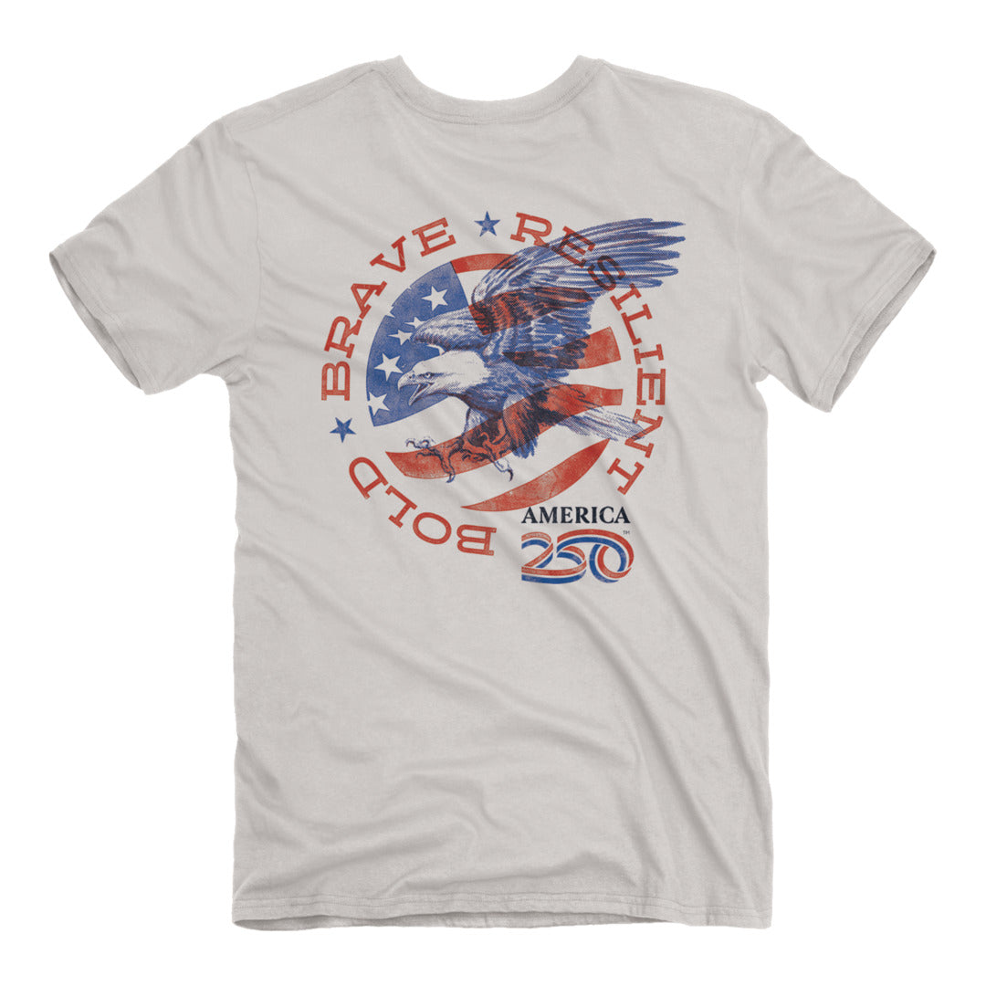 Back of the America 250 - Brave Eagle T-Shirt