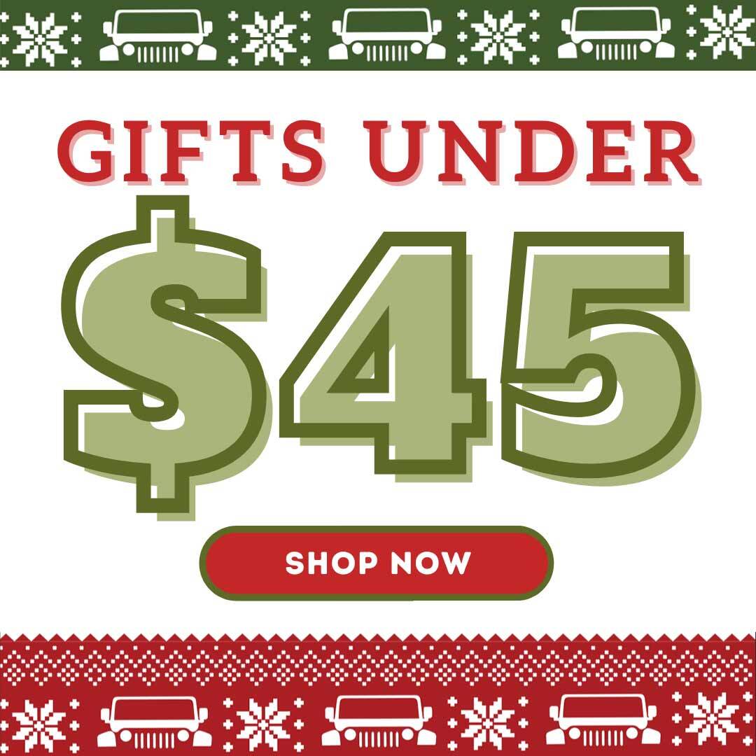 Gifts Under $45